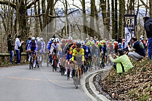 The Peloton - Paris-Nice 2024