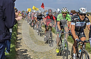 The Peloton- Paris Roubaix 2014