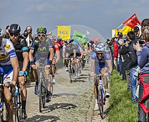 The Peloton- Paris Roubaix 2014