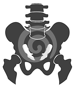 Pelvis bones black icon. Human body structure