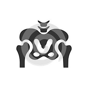 Pelvis Icon