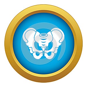 Pelvis icon blue vector isolated