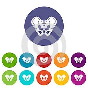 Pelvis set icons