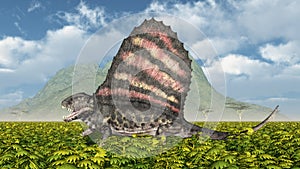 Pelycosaur Dimetrodon