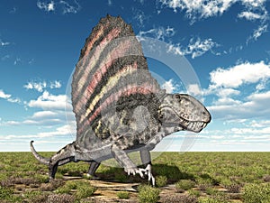 Pelycosaur Dimetrodon