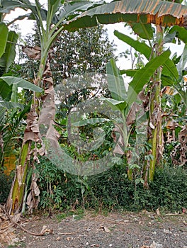 Really natural views in the afternoon