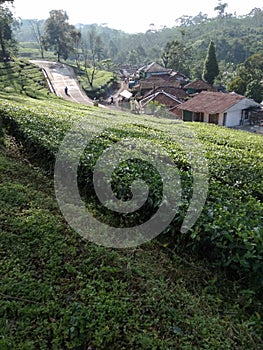 Pemandangan di pegunungan dengan suasana yang damai photo