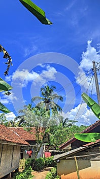 Pemandangan di siang hari yang cerah