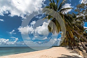 Pemba paradise beach, north Mozambique