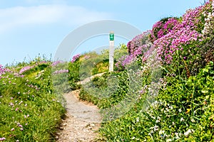 Pembroke Path