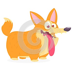 Pembroke Welsh Corgi Dog cartoon. Vector illustration of a cute doggy with long tongue.