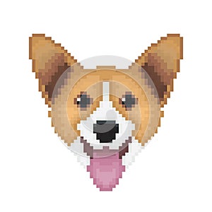 Pembroke Welsh Corgi dog head in pixel art style.