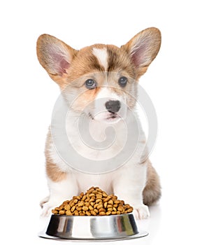 Pembroke Welsh Corgi puppy sitting with a bowl of dry dog food. isolated on white background