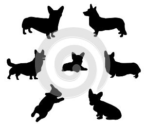 Pembroke Welsh Corgi silhouette