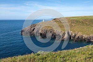 Pembrokeshire coast, summer landscape photo