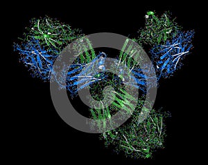 Pembrolizumab monoclonal antibody drug protein. Immune checkpoint inhibitor targetting PD-1, used in the treatment of a number of.