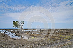 Pemuteran beach with Hindu shrine on Bali Indonesia photo