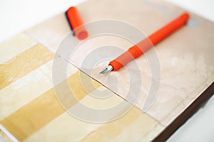 Pen on the closed diary