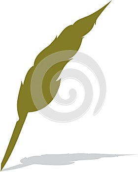 Pen feather