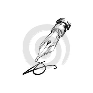 Pen nib, hand drawn illustration in vector