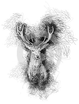 Pen pencil sketch scribble drawing of deer
