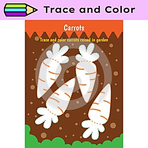 Pen tracing lines activity worksheet for children. Pencil control for kids practicing motoric skills. Carrots