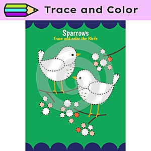 Pen tracing lines activity worksheet for children. Pencil control for kids practicing motoric skills. Sparrow birds