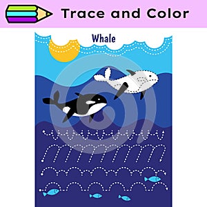 Pen tracing lines activity worksheet for children. Pencil control for kids practicing motoric skills. Whales educational