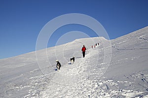 Pen y Fan mountain in winter