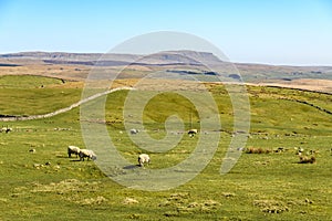 Pen-Y-Ghent