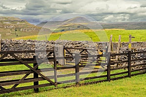 Pen-Y-Ghent from near Wharfe woods above Feizor in the Yorkshire Dales