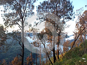 Penanjakan Point View of Bromo Tengger Semeru National Park of East Java Province, Indonesia