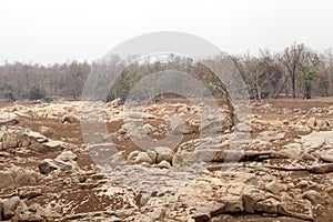 Pench river bed in pench tiger reserve