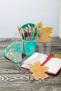 A pencil case in the form of a trash can. It contains colored pencils. Nearby is a notepad and a protective mask for the pandemic