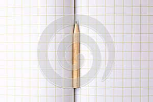 Pencil on Copybook