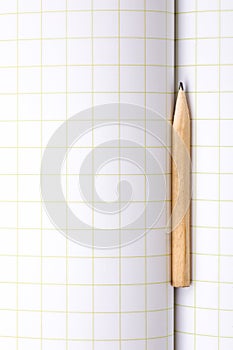 Pencil on Copybook