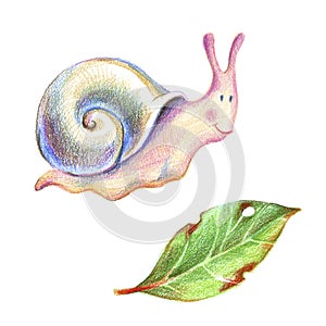 Pencil drawind smiling colorful snail and a leaky leaf