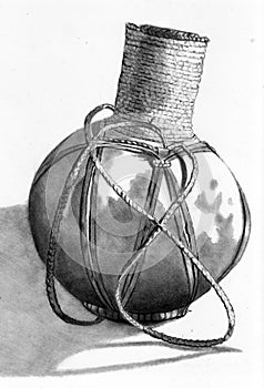 Pencil Drawing of a Calabash photo