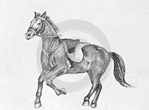 Pencil Drawing of a Running Horse