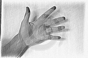 Pencil painted sketch drawing of a human femaile hand showing different gestures