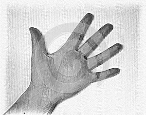 Pencil painted sketch drawing of a human femaile hand showing different gestures