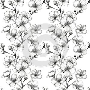 pencil sketch seamless floral pattern of cherry blossoms on white background