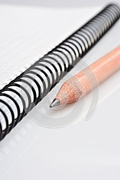 Pencil on spiral notebook