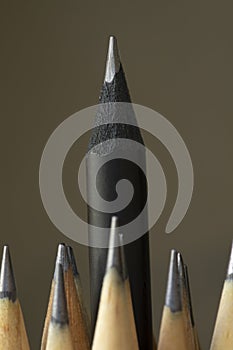 A pencil standing out from many others
