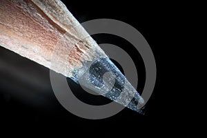 Pencil tip macro. Graphite lead by microscope. Stationery writing accessories