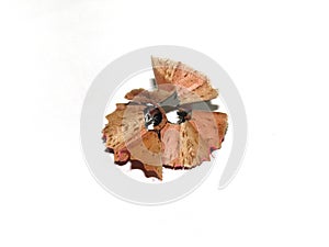 Pencil waste or pencil shaving on white background