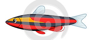 Pencilfish fish on a white background