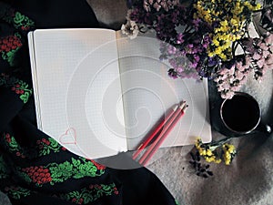 Pencils for drawing in a notebook