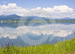 Pend Oreille River Reflection of Clouds, Selkirk Mountains and Western Lupine
