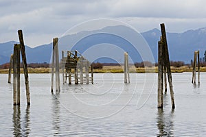 Pend Oreille River with Selkirk Mountains